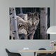 Wolves Wall Decal