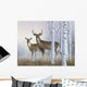 Deer In Birch Woods Wall Mural
