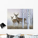 Deer In Birch Woods Wall Mural