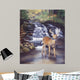 Before Rut Wall Decal