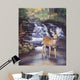 Before Rut Wall Decal