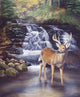 Before Rut Wall Decal