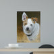 Daisy Mae Wall Decal