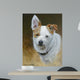 Daisy Mae Wall Decal