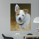 Daisy Mae Wall Decal