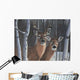 Deer Magic Wall Decal