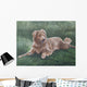 Hope Wall Decal Design 2