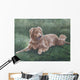 Hope Wall Decal Design 2