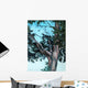 Juniper Tree Wall Decal