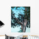 Juniper Tree Wall Decal
