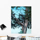 Juniper Tree Wall Decal