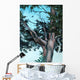 Juniper Tree Wall Decal