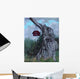 Bird House Wall Decal