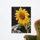 Sunflower and Chipmunk Wall Decal