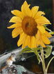 Sunflower and Chipmunk Wall Decal
