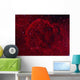 Jellyfish Nebula Wall Decal