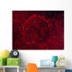 Jellyfish Nebula Wall Decal