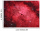 Sadr Region Constellation Cygnus Wall Decal