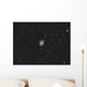 Crab Nebula Supernova Remnant Wall Decal
