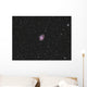Crab Nebula Supernova Remnant Wall Decal