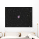 Crab Nebula Supernova Remnant Wall Decal