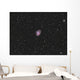 Crab Nebula Supernova Remnant Wall Decal