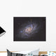 Triangulum Galaxy Wall Decal