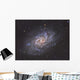 Triangulum Galaxy Wall Decal