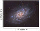 Triangulum Galaxy Wall Decal