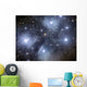 Pleiades Open Cluster Stars Wall Decal
