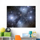 Pleiades Open Cluster Stars Wall Decal