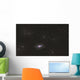 Sunflower Galaxy Wall Decal