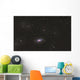 Sunflower Galaxy Wall Decal
