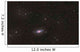 Sunflower Galaxy Wall Decal