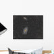 Cigar Galaxy and Bode's Wall Decal