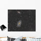 Cigar Galaxy and Bode's Wall Decal