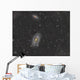 Cigar Galaxy and Bode's Wall Decal