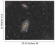 Cigar Galaxy and Bode's Wall Decal