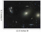 Virgo Cluster Wall Decal