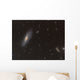 Messier 106 Spiral Galaxy Wall Decal