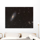 Messier 106 Spiral Galaxy Wall Decal