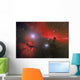 Horsehead Nebula Constellation Orion Wall Decal