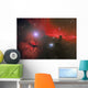 Horsehead Nebula Constellation Orion Wall Decal