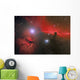 Horsehead Nebula Constellation Orion Wall Decal