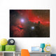 Horsehead Nebula Constellation Orion Wall Decal