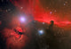 Horsehead Nebula Constellation Orion Wall Decal