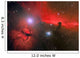 Horsehead Nebula Constellation Orion Wall Decal
