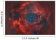 Rosette Nebula Wall Decal