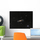 Ngc 3628 Hamburger Galaxy Wall Decal