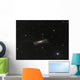 Ngc 3628 Hamburger Galaxy Wall Decal